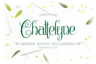 Chattelyne: A Delicate Script Font for Web Design and Branding