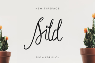 Sild: A Script Handwritten Font for Elegant Branding