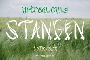 Stangen: The Font That Elevates Your Campaigns