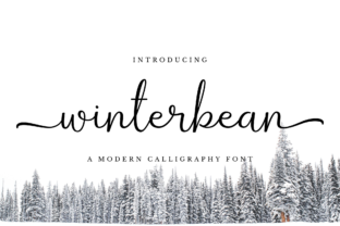 Winterbean: A Modern Script Font for Creative Design