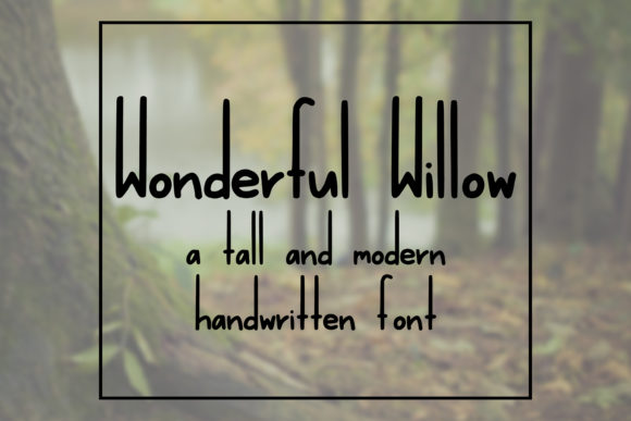 Wonderful Willow: A Modern Sans Serif Font for Creative Product Design